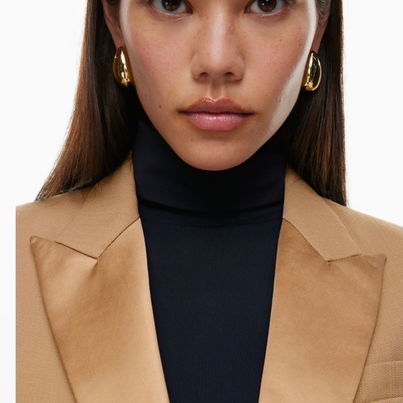 Aritzia Babaton Construct Blazer and Pant - Picture 10 of 10